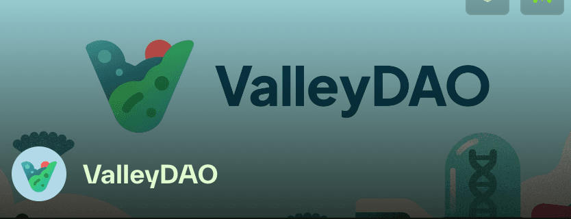 ValleyDAO